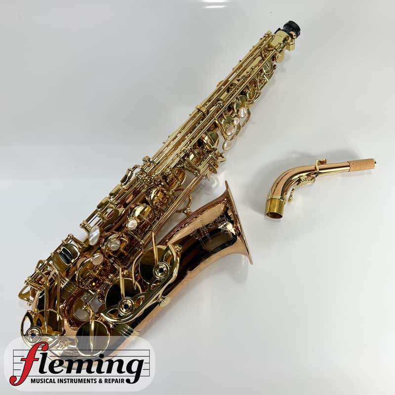 Yanagisawa AWO20 Elite Model Bronze Alto Saxophone imagen 1