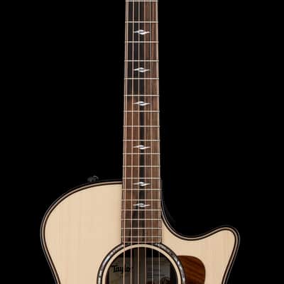 Taylor Builder's Edition 814ce Adirondack Spruce #75013 (Demonstration Model) image 5