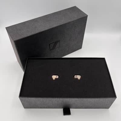 Sennheiser IE600 IEM In-Ear Audiophile Headphones image 5
