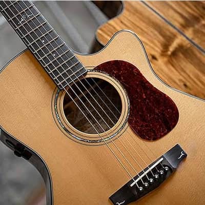 Cort Gold Series Gold-OC6 Bocote Acoustic-Electric Guitar w/ Solid Sitka Spruce Top, Bocote Back & Sides, Fishman Flex Electronics, Natural Glossy w/ Case, See Video, Mint Condition image 16