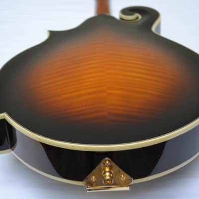 Orpheum OM6SW F-Style Mandolin-All Solid Top, Back & Sides- by Tacoma image 14