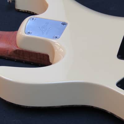 Lipe Guitars Virtuoso 2017 Buckeye Burl image 11