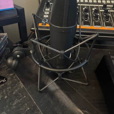 Neumann TLM 193 mt Large Diaphragm Cardioid Condenser Microphone with Shockmount EA-1 image 9