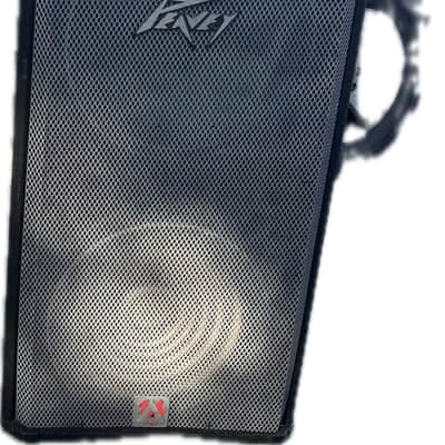 Peavey Peavey SP 4G 1990s and early 2000s image 2