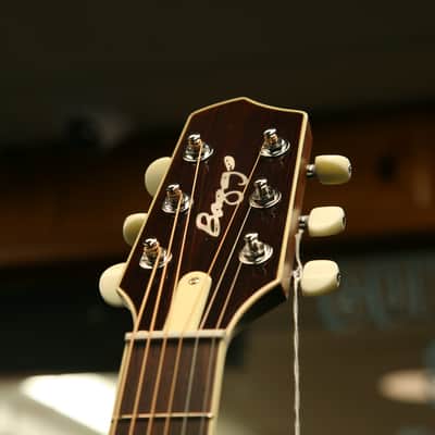 LR Baggs AEG-1 Torrefied Sitka Spruce Dreadnought Acoustic-Electric Guitar image 6