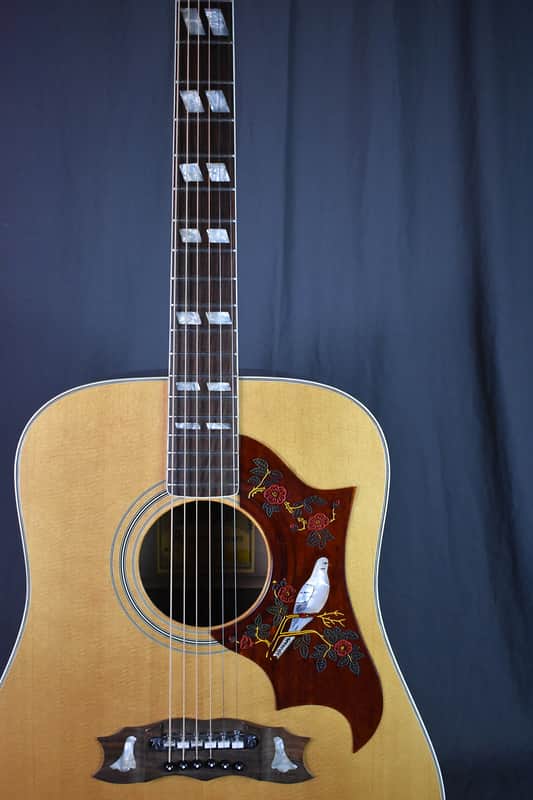 1977 Alvarez 5024 Dove image 1