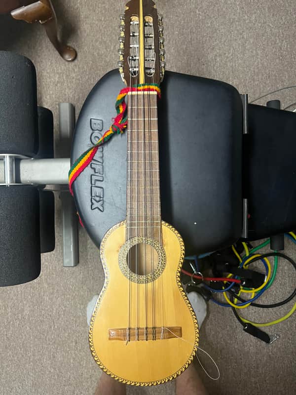 Charango image 1
