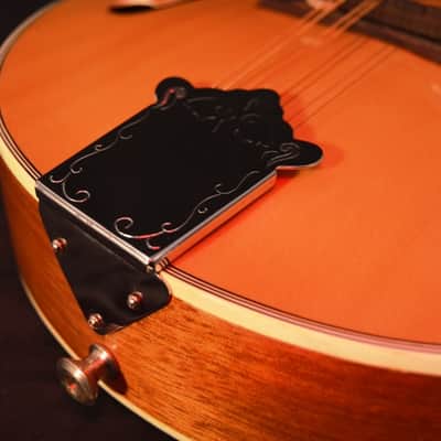 Ventura Mandolin – Excellent Condition! image 5