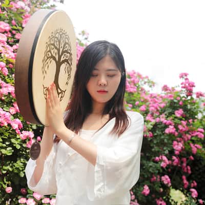 Meinl Sonic Energy Hand Drum image 8