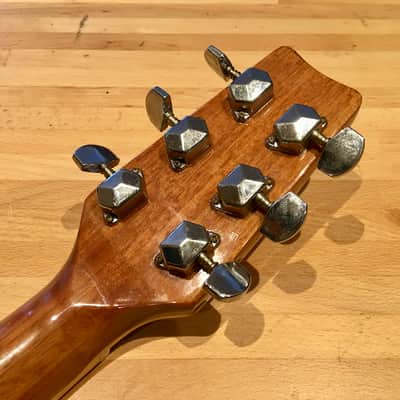 Dylon Electro Acoustic Dreadnought Guitar image 9