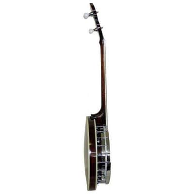 Gold Tone TS-250 Tenor Special 4-String Banjo w/Hardshell Case image 3