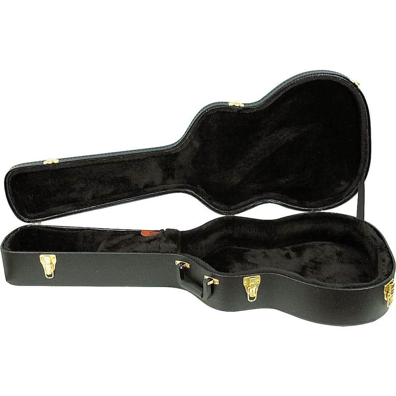 Ibanez AEG10C Hardshell Case for AEG Guitars Regular image 1