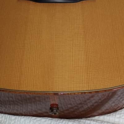 Martin Custom Shop D-35 Madagascar RW/Alpine Moon Spruce/Cocobolo CW 2012 - Superb Tone, Only 50 Made Ever, FINAL SALE The Best!! image 5