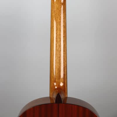 Cordoba C5 Spruce Top Nylon String image 6