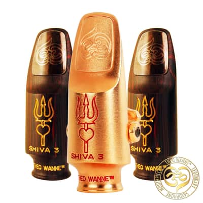 Theo Wanne Shiva 3 Hard Rubber Soprano Mouthpiece (Any Facing) image 2