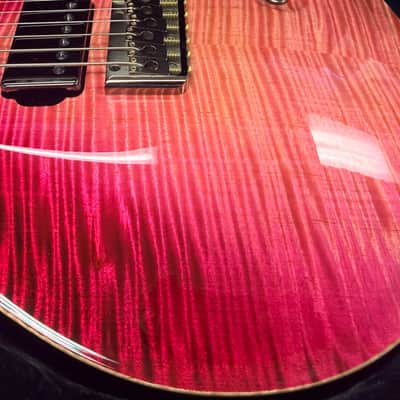 PRS Custom 24 Private Stock Baritone 28” Scale image 8