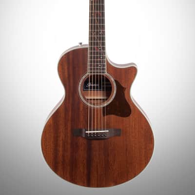 Ibanez AE245JR Acoustic-Electric Guitar (with Gig Bag) image 2