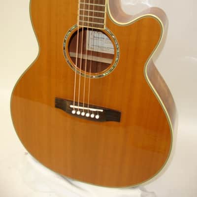 Takamine EG544SC-4C Acoustic Electric Guitar, Natural image 3