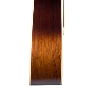 Seagull 041831 / 051991 S6 Original Burnt Umber QIT Acoustic Electric MADE In CANADA image 3