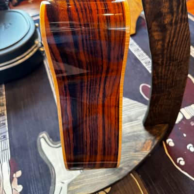 Zager ZAD-900CE  - Natural with Fishman Aura Pro Pickup image 9
