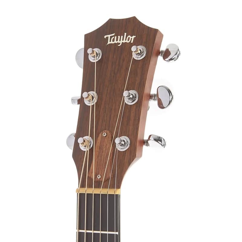 Taylor 315ce with Fishman Electronics image 6