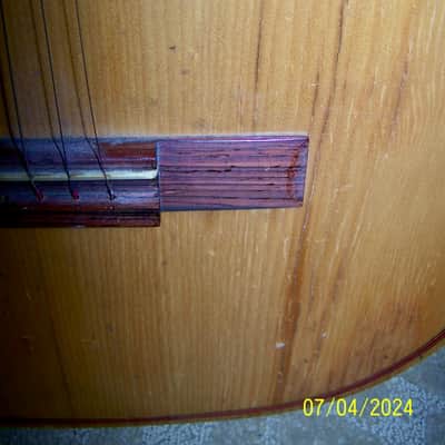 Giannini Michelle AWN-20 1960's image 4