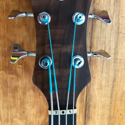 Alembic Brown Bass image 9