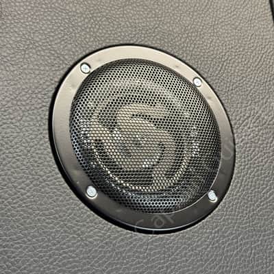 2024 Eich Amplification - TB250 Sub Bass mit Bass Board S - ID 5859 image 6