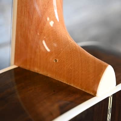 (15039) Zager ZAD-80M/N Acoustic Guitar image 10