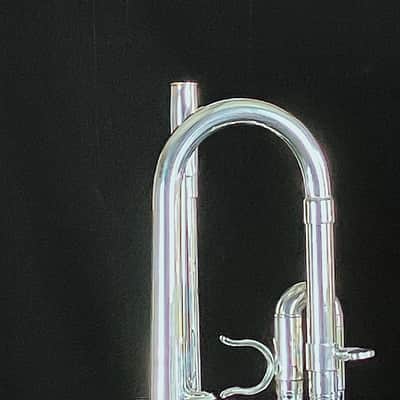 BERKELEY Raw Brass STD Eb/D Trumpet w/ Extra Silver D Bell 2019ish - SILVER PLATED image 14