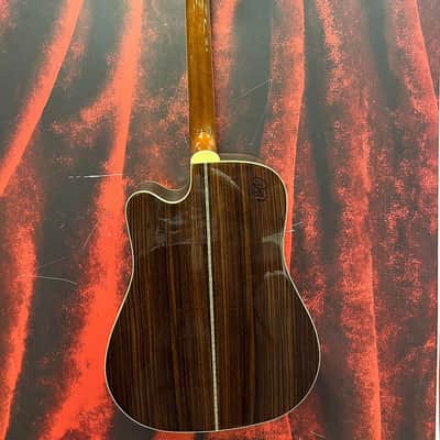 Zager ZAD 80CE Acoustic Guitar (Houston, TX) image 4