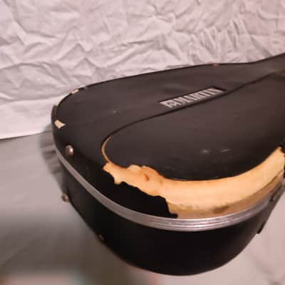 Martin D4 Dreadnaught thermoplastic hard case 1979 D18 D28 D35 D45 image 7