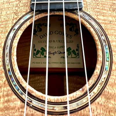 NEW 2025 David Gomes Concert Ukulele - Mango image 3