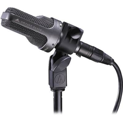 Audio-Technica AE3000 Large-Diaphragm Cardioid Instrument Microphone image 3