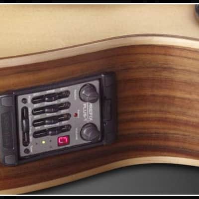Warwick ALIEN 5 Natural Satin Acoustic Electric Bass, LEFT-HANDED, Fretted, Brand New, Free Shipping image 3