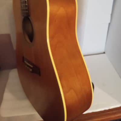 Seagull Entourage Dreadnought 2018 - Autumn Burst image 9