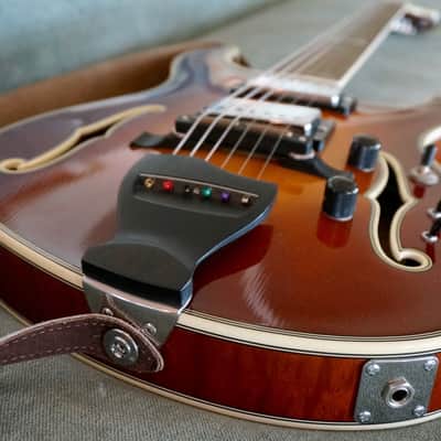 Paul Languedoc G2 Electric Hollowbody Guitar image 6
