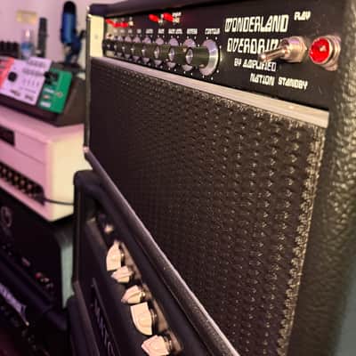 2022 Amplified Nation Wonderland Overdrive v2 22w 6V6 Amplifier Buckskin Suede w/ Vox image 4