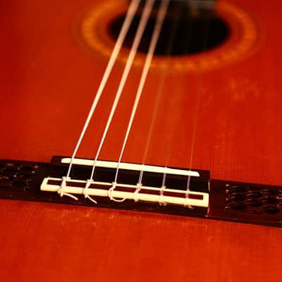 Dieter Hopf La Portentosa 2004 - Ramirez 1a style - classical guitar handmade in Germany - check video! image 12