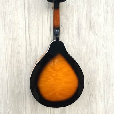 Redwood M20E Electro-Acoustic Mandolin image 2