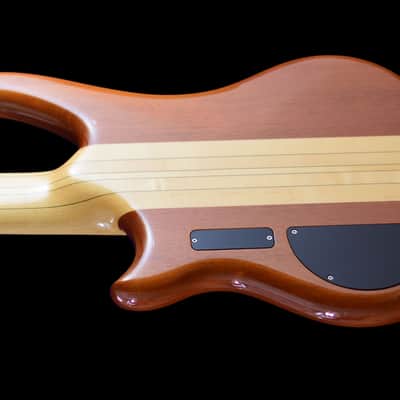 Alembic Essence 1998 image 6