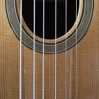 Jean Pierre Favino 1984 Enrico Macias Model 10 Django Gypsy Jazz Guitar image 8