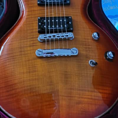 Washburn USA Custom Shop E-300 image 1