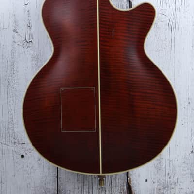 Takamine TB10LH 4 String Fretless Upright Acoustic Electric Bass Guitar w Case image 12