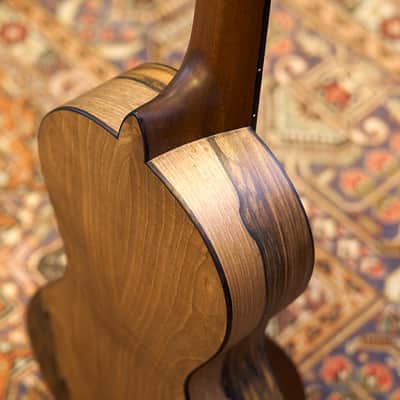 Artimúsica Traditional Luthier 10 String "Viola de Arame" Madeira image 19