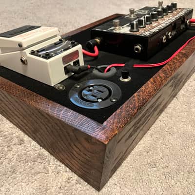 Custom Acoustic Guitar Pedalboard image 3