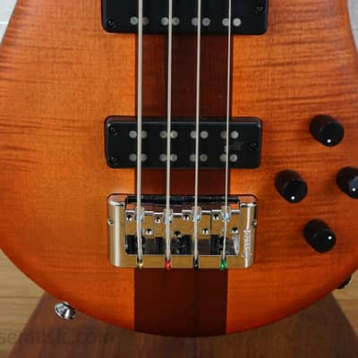 Spector Euro 4 RST - Sienna Stain image 7
