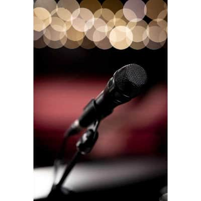SHURE NXN8-S Microphone dynamique supercardioïde - noir image 7