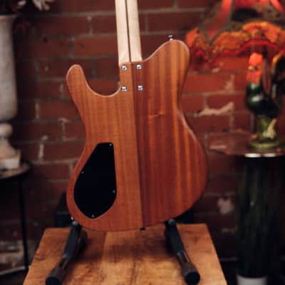 Dragon Fly Border B6 Custom - Great Bass VI! image 6