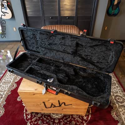 Spector NS Flight Case image 2